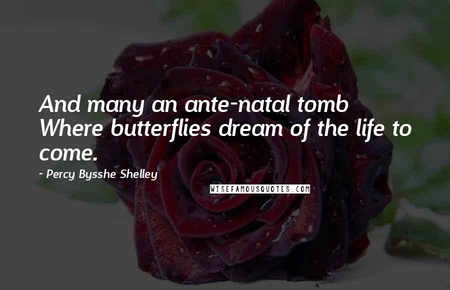 Percy Bysshe Shelley Quotes: And many an ante-natal tomb Where butterflies dream of the life to come.