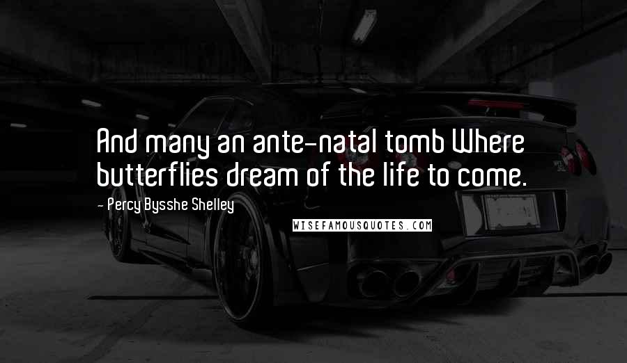 Percy Bysshe Shelley Quotes: And many an ante-natal tomb Where butterflies dream of the life to come.