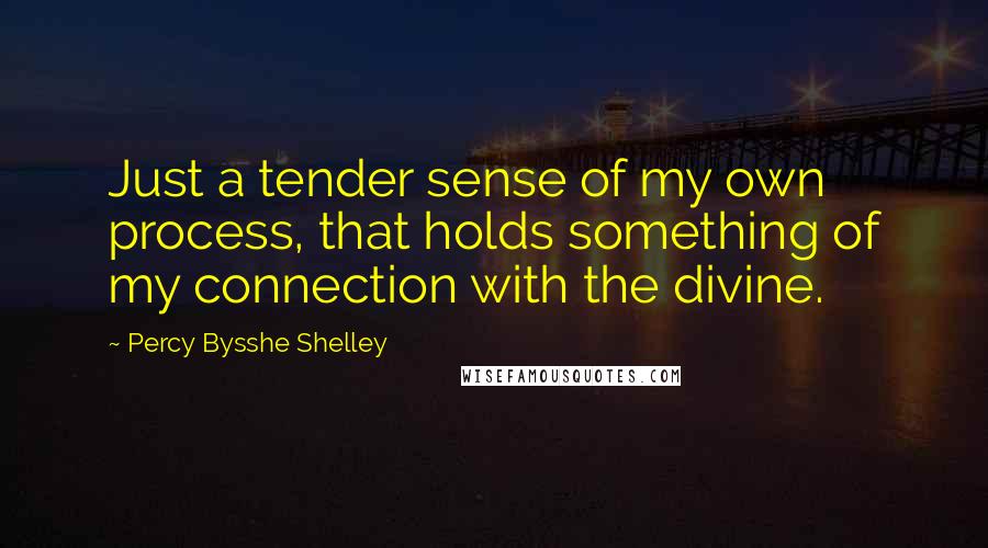 Percy Bysshe Shelley Quotes: Just a tender sense of my own process, that holds something of my connection with the divine.