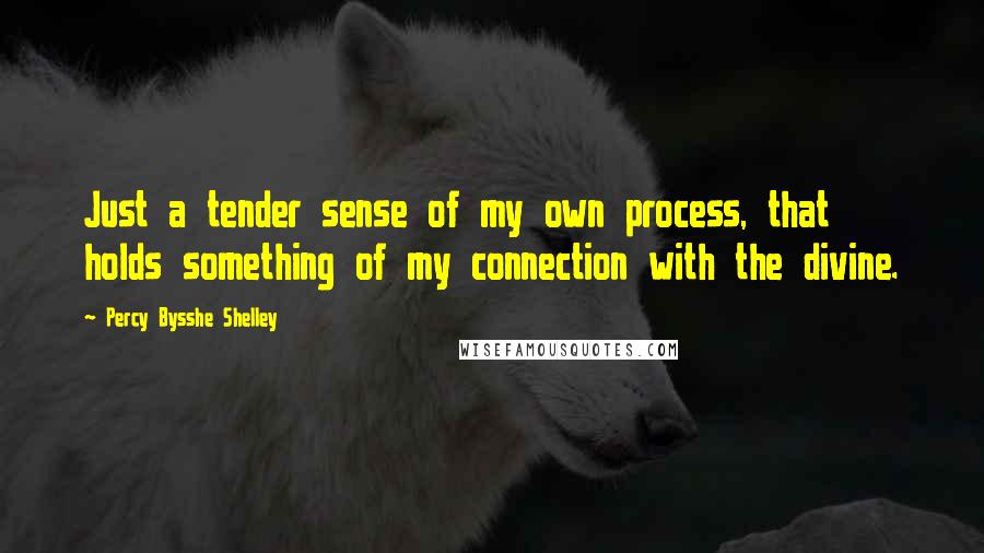 Percy Bysshe Shelley Quotes: Just a tender sense of my own process, that holds something of my connection with the divine.