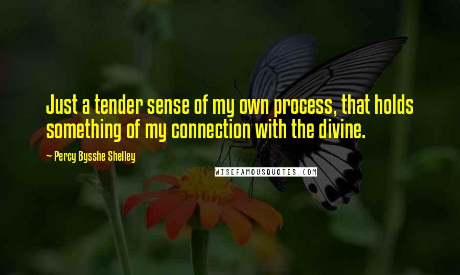 Percy Bysshe Shelley Quotes: Just a tender sense of my own process, that holds something of my connection with the divine.