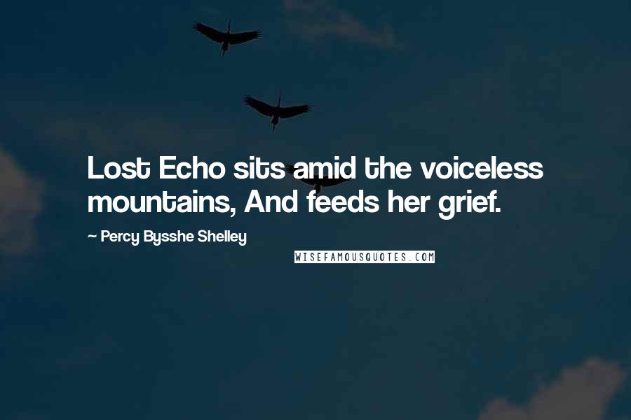 Percy Bysshe Shelley Quotes: Lost Echo sits amid the voiceless mountains, And feeds her grief.