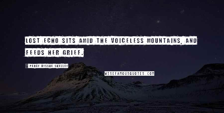 Percy Bysshe Shelley Quotes: Lost Echo sits amid the voiceless mountains, And feeds her grief.