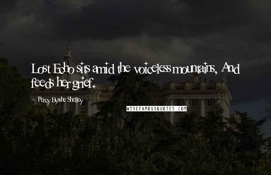 Percy Bysshe Shelley Quotes: Lost Echo sits amid the voiceless mountains, And feeds her grief.