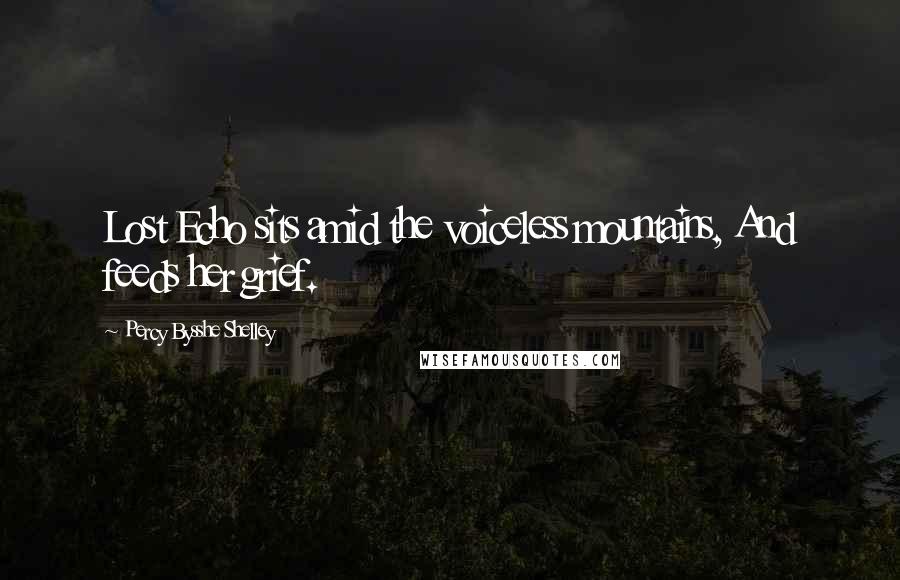 Percy Bysshe Shelley Quotes: Lost Echo sits amid the voiceless mountains, And feeds her grief.