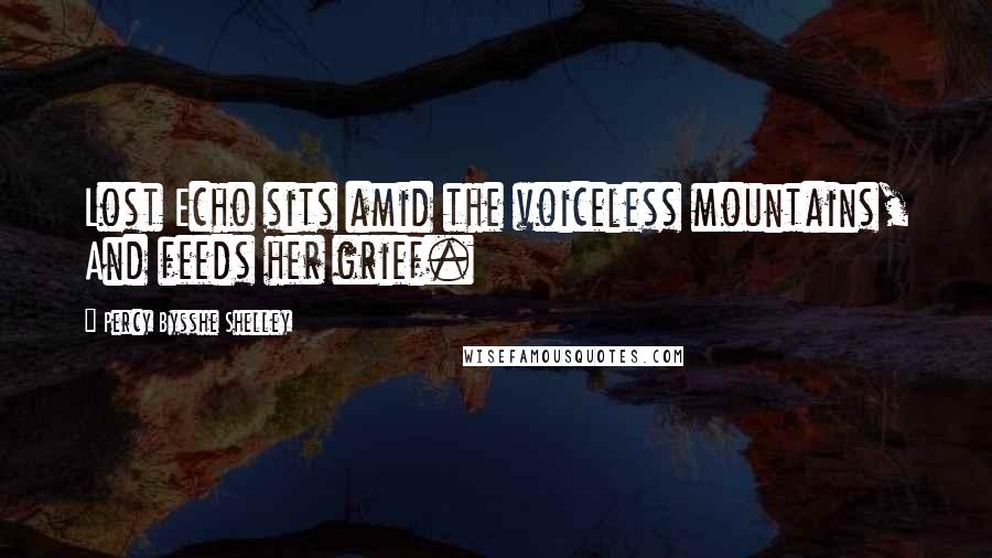 Percy Bysshe Shelley Quotes: Lost Echo sits amid the voiceless mountains, And feeds her grief.