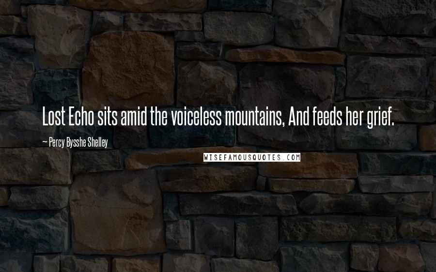 Percy Bysshe Shelley Quotes: Lost Echo sits amid the voiceless mountains, And feeds her grief.