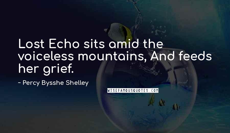 Percy Bysshe Shelley Quotes: Lost Echo sits amid the voiceless mountains, And feeds her grief.