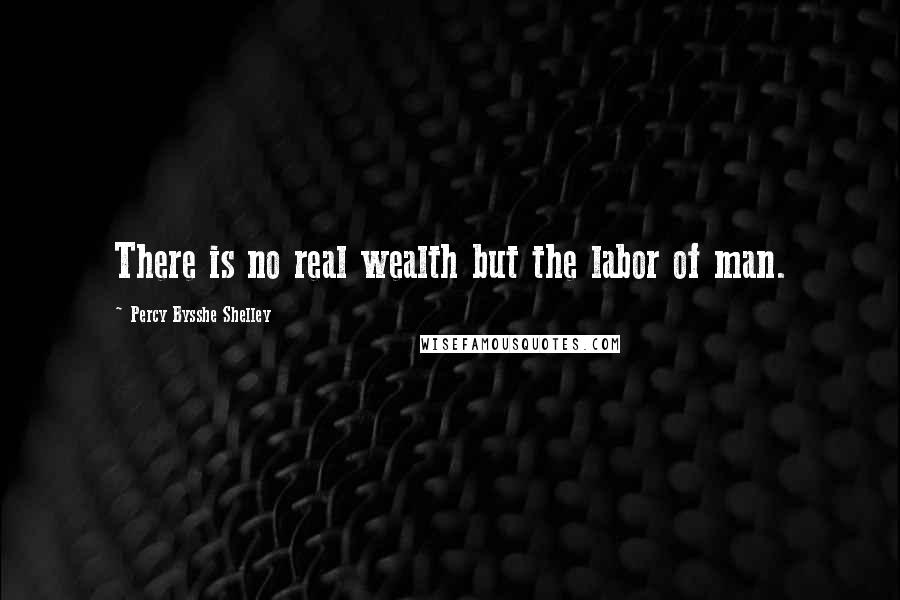 Percy Bysshe Shelley Quotes: There is no real wealth but the labor of man.