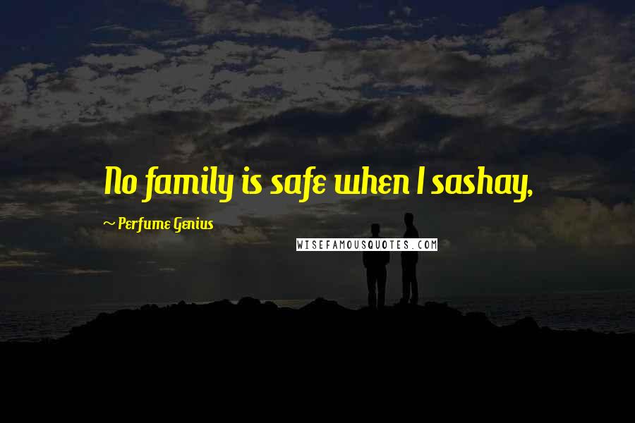 Perfume Genius Quotes: No family is safe when I sashay,