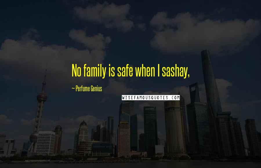 Perfume Genius Quotes: No family is safe when I sashay,