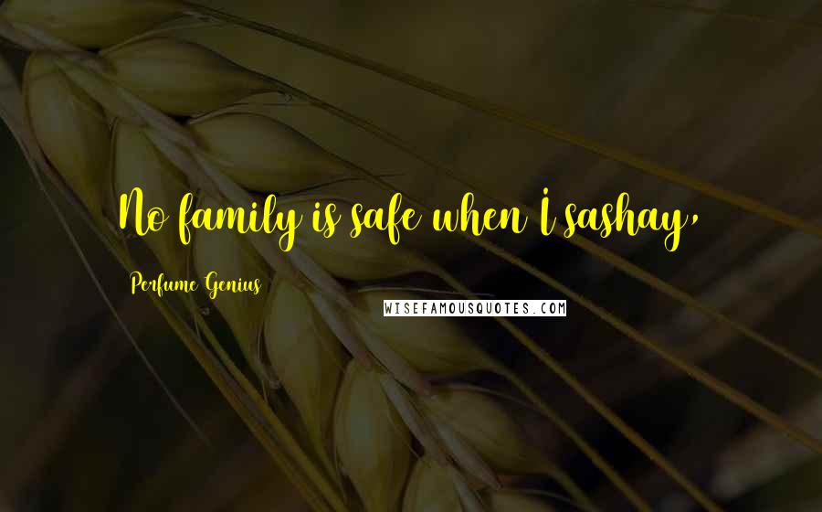 Perfume Genius Quotes: No family is safe when I sashay,