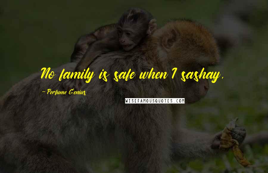 Perfume Genius Quotes: No family is safe when I sashay,