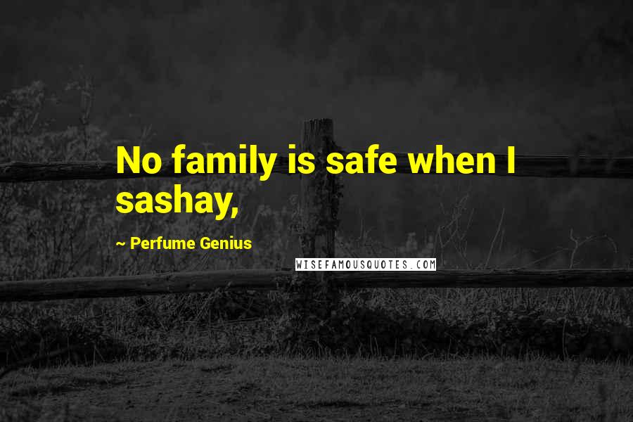 Perfume Genius Quotes: No family is safe when I sashay,