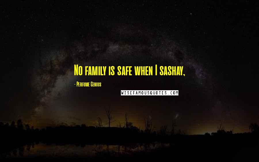 Perfume Genius Quotes: No family is safe when I sashay,