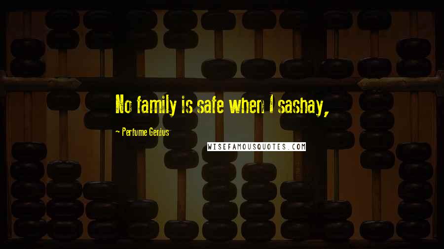 Perfume Genius Quotes: No family is safe when I sashay,