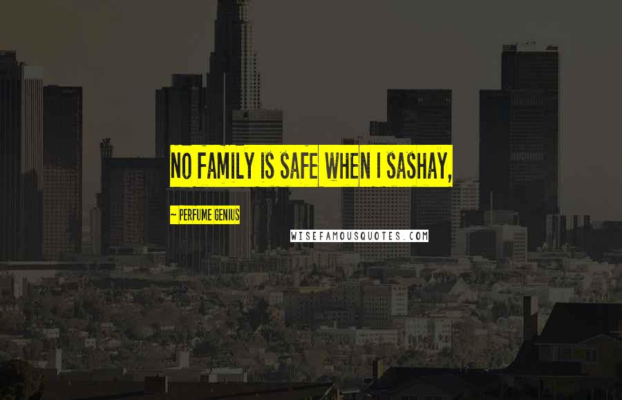 Perfume Genius Quotes: No family is safe when I sashay,