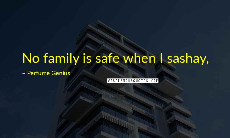 Perfume Genius Quotes: No family is safe when I sashay,