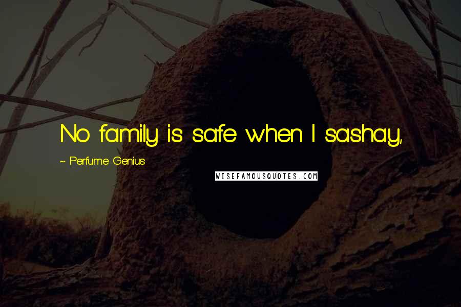 Perfume Genius Quotes: No family is safe when I sashay,