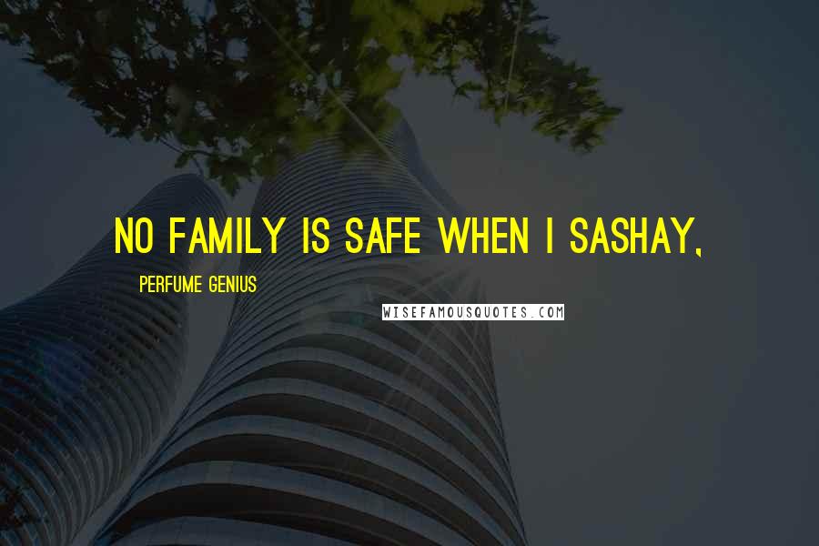 Perfume Genius Quotes: No family is safe when I sashay,