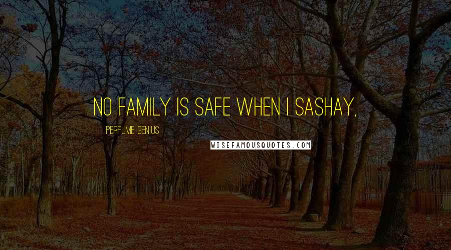 Perfume Genius Quotes: No family is safe when I sashay,