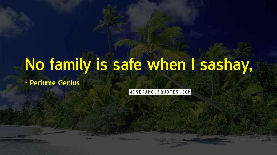 Perfume Genius Quotes: No family is safe when I sashay,