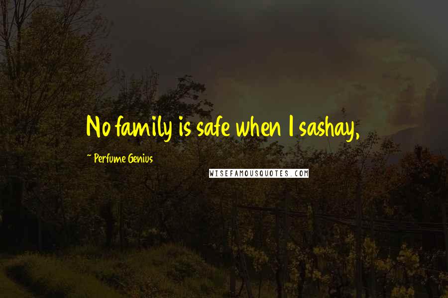 Perfume Genius Quotes: No family is safe when I sashay,