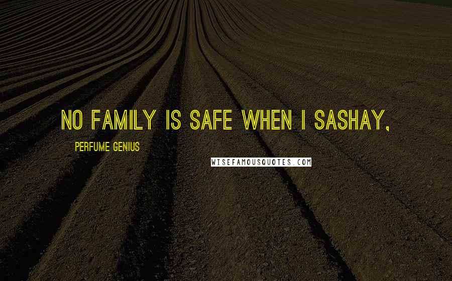 Perfume Genius Quotes: No family is safe when I sashay,
