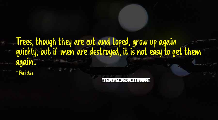 Pericles Quotes: Trees, though they are cut and loped, grow up again quickly, but if men are destroyed, it is not easy to get them again.