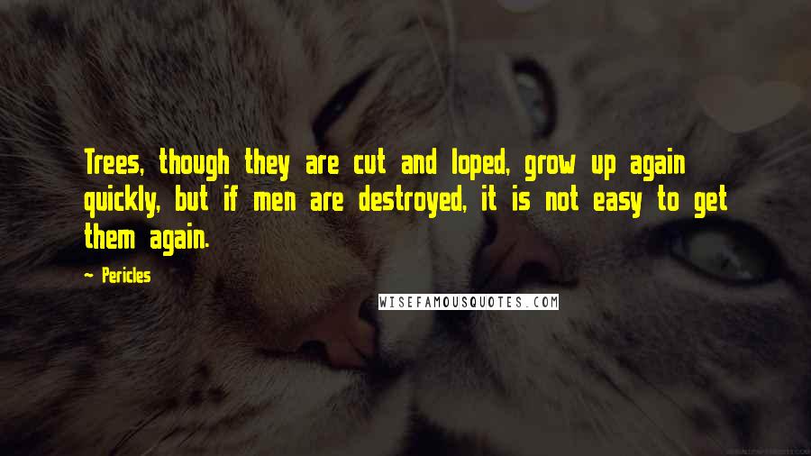 Pericles Quotes: Trees, though they are cut and loped, grow up again quickly, but if men are destroyed, it is not easy to get them again.