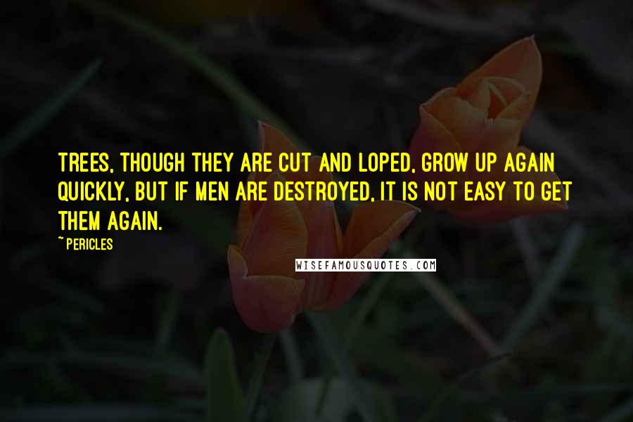 Pericles Quotes: Trees, though they are cut and loped, grow up again quickly, but if men are destroyed, it is not easy to get them again.