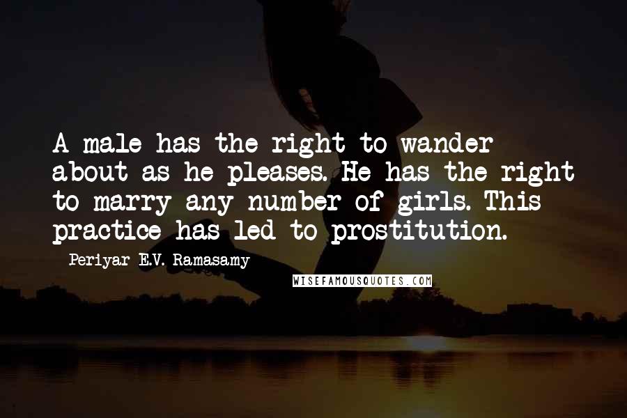 Periyar E.V. Ramasamy Quotes: A male has the right to wander about as he pleases. He has the right to marry any number of girls. This practice has led to prostitution.