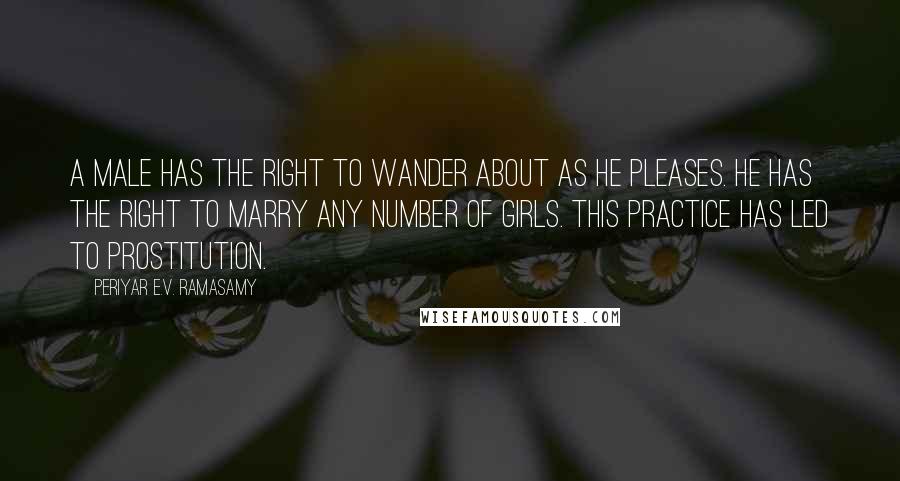 Periyar E.V. Ramasamy Quotes: A male has the right to wander about as he pleases. He has the right to marry any number of girls. This practice has led to prostitution.