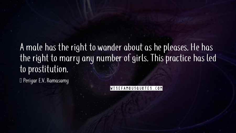 Periyar E.V. Ramasamy Quotes: A male has the right to wander about as he pleases. He has the right to marry any number of girls. This practice has led to prostitution.