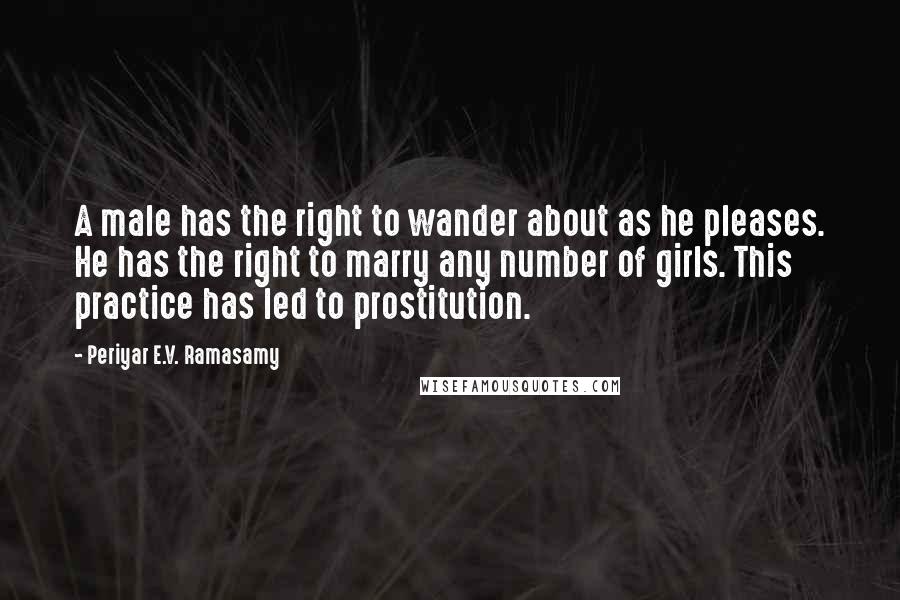 Periyar E.V. Ramasamy Quotes: A male has the right to wander about as he pleases. He has the right to marry any number of girls. This practice has led to prostitution.