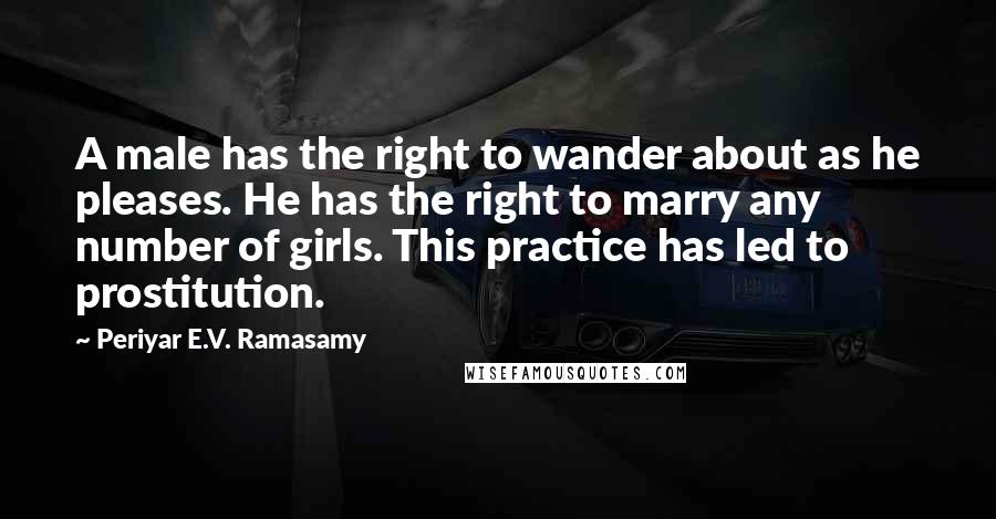 Periyar E.V. Ramasamy Quotes: A male has the right to wander about as he pleases. He has the right to marry any number of girls. This practice has led to prostitution.