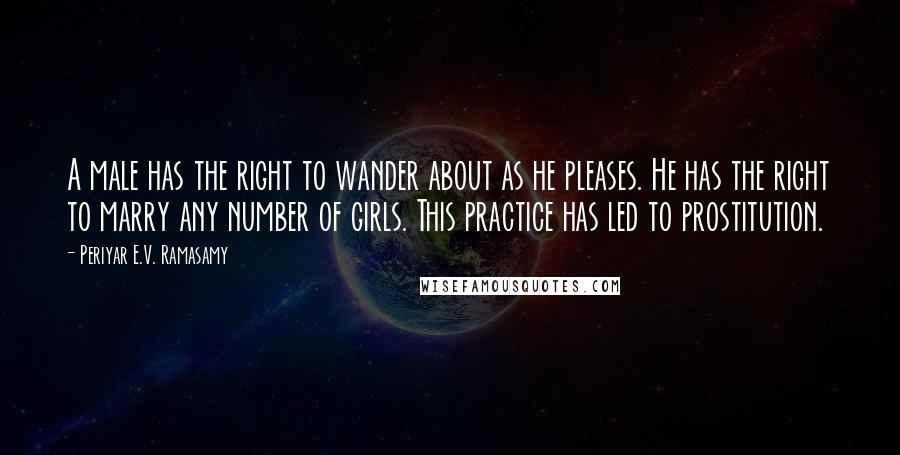 Periyar E.V. Ramasamy Quotes: A male has the right to wander about as he pleases. He has the right to marry any number of girls. This practice has led to prostitution.