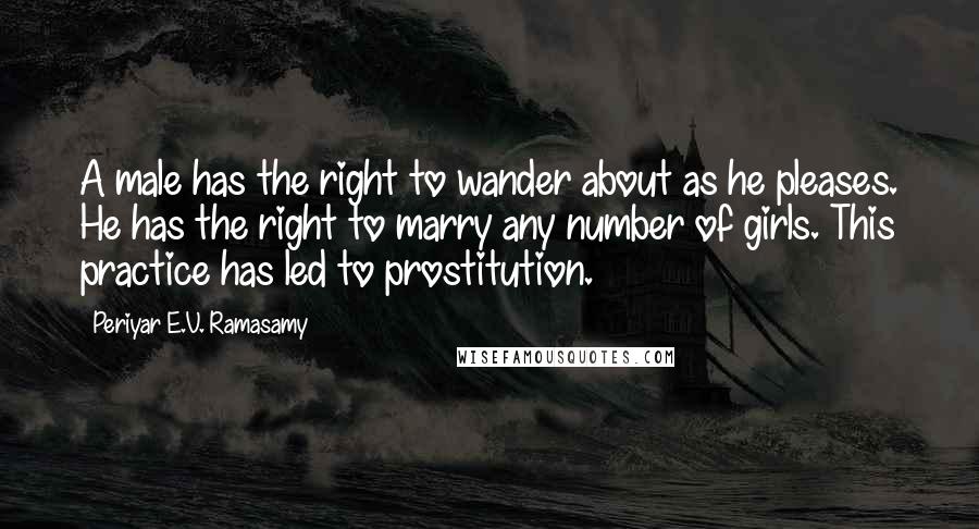 Periyar E.V. Ramasamy Quotes: A male has the right to wander about as he pleases. He has the right to marry any number of girls. This practice has led to prostitution.