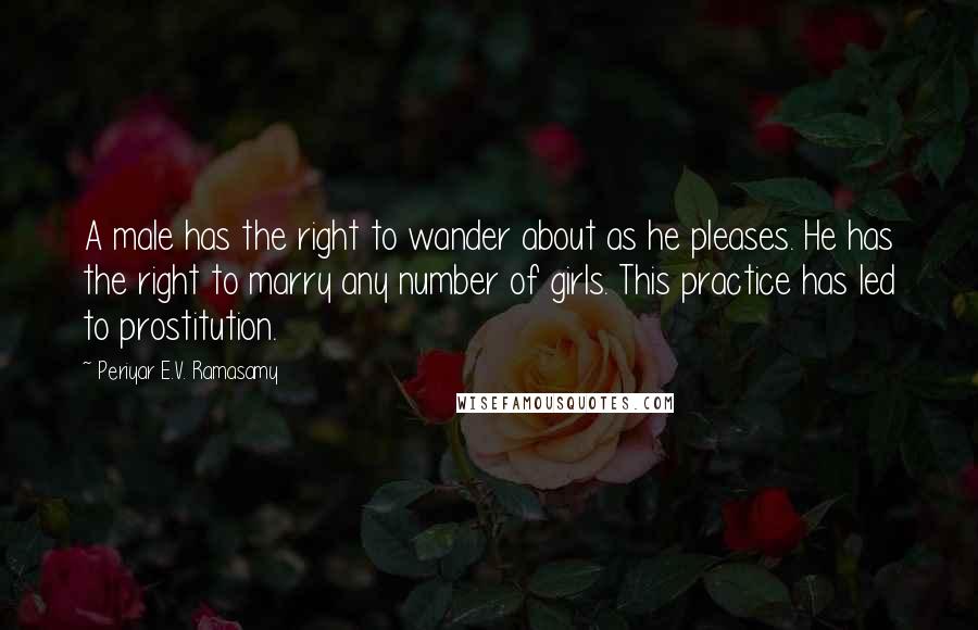 Periyar E.V. Ramasamy Quotes: A male has the right to wander about as he pleases. He has the right to marry any number of girls. This practice has led to prostitution.