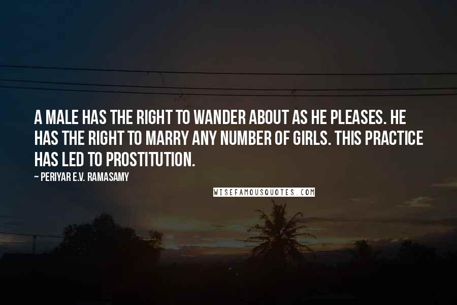 Periyar E.V. Ramasamy Quotes: A male has the right to wander about as he pleases. He has the right to marry any number of girls. This practice has led to prostitution.