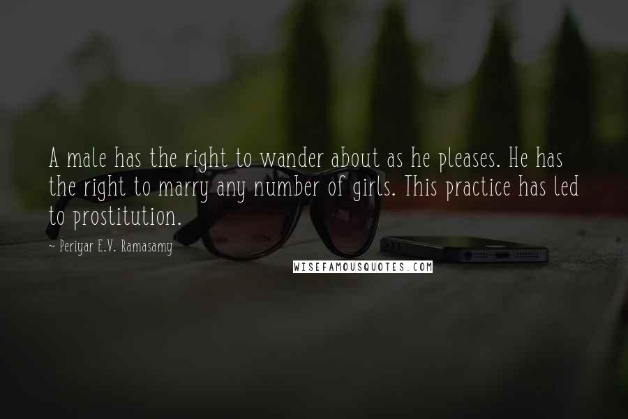 Periyar E.V. Ramasamy Quotes: A male has the right to wander about as he pleases. He has the right to marry any number of girls. This practice has led to prostitution.