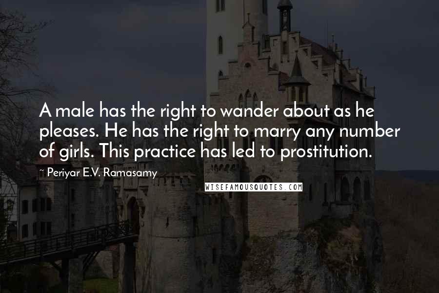 Periyar E.V. Ramasamy Quotes: A male has the right to wander about as he pleases. He has the right to marry any number of girls. This practice has led to prostitution.