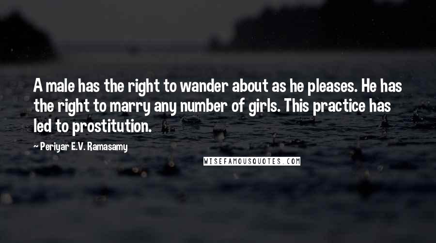 Periyar E.V. Ramasamy Quotes: A male has the right to wander about as he pleases. He has the right to marry any number of girls. This practice has led to prostitution.