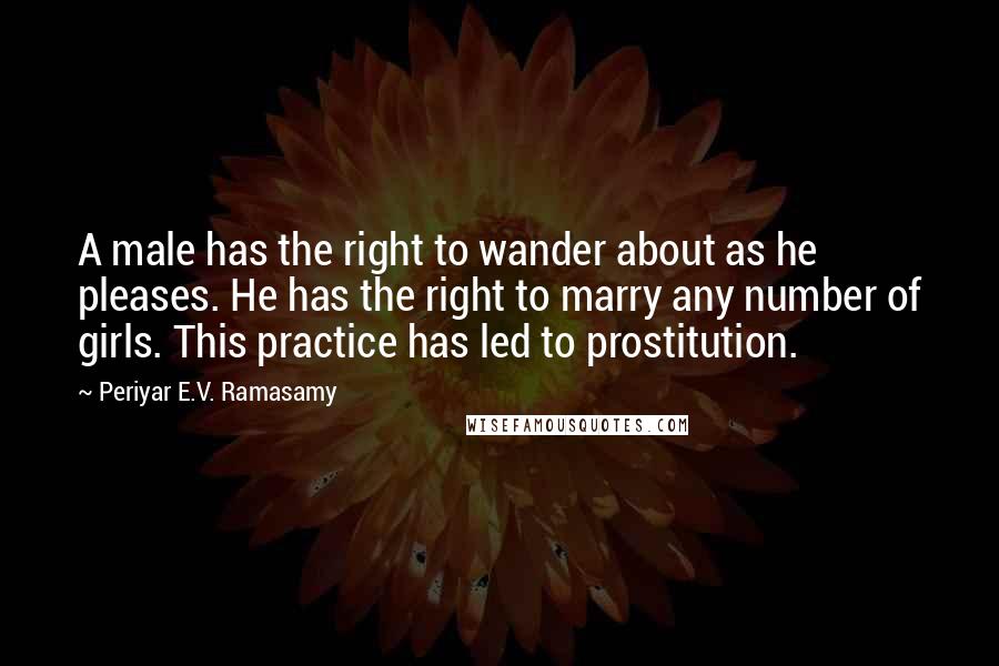 Periyar E.V. Ramasamy Quotes: A male has the right to wander about as he pleases. He has the right to marry any number of girls. This practice has led to prostitution.