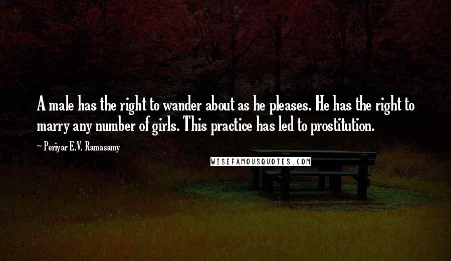 Periyar E.V. Ramasamy Quotes: A male has the right to wander about as he pleases. He has the right to marry any number of girls. This practice has led to prostitution.