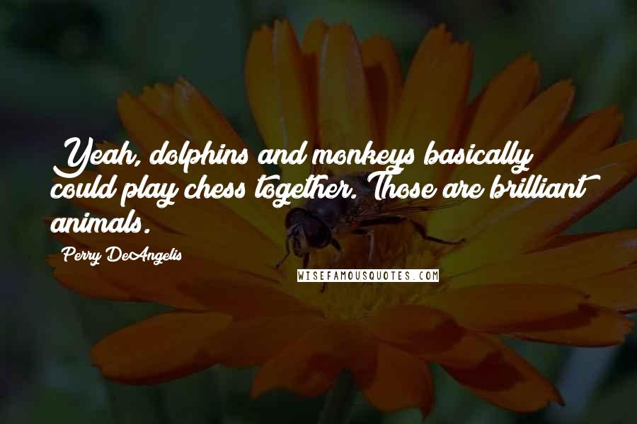 Perry DeAngelis Quotes: Yeah, dolphins and monkeys basically could play chess together. Those are brilliant animals.