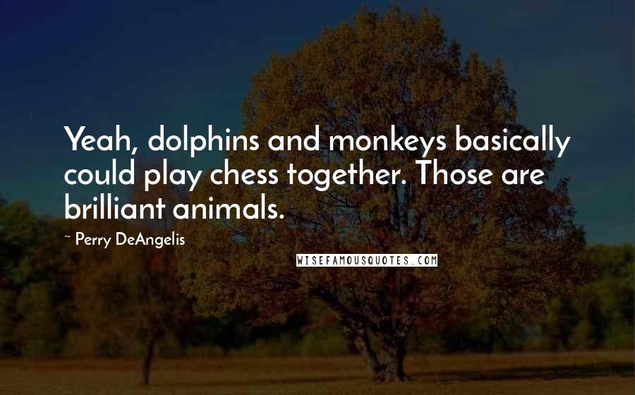 Perry DeAngelis Quotes: Yeah, dolphins and monkeys basically could play chess together. Those are brilliant animals.