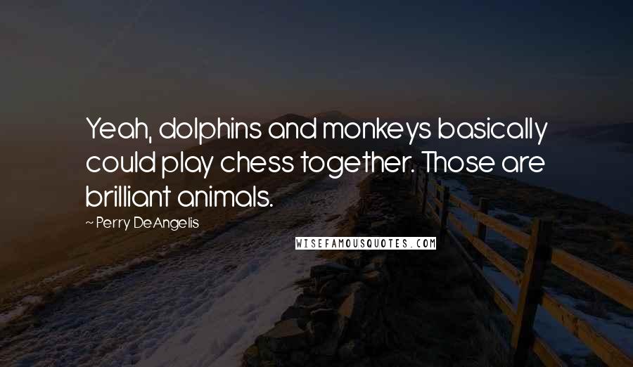 Perry DeAngelis Quotes: Yeah, dolphins and monkeys basically could play chess together. Those are brilliant animals.