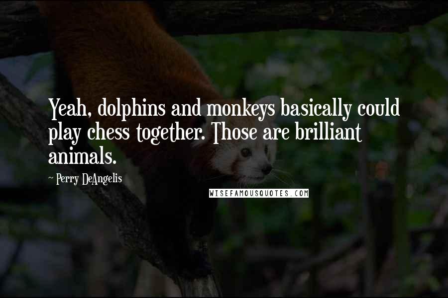 Perry DeAngelis Quotes: Yeah, dolphins and monkeys basically could play chess together. Those are brilliant animals.