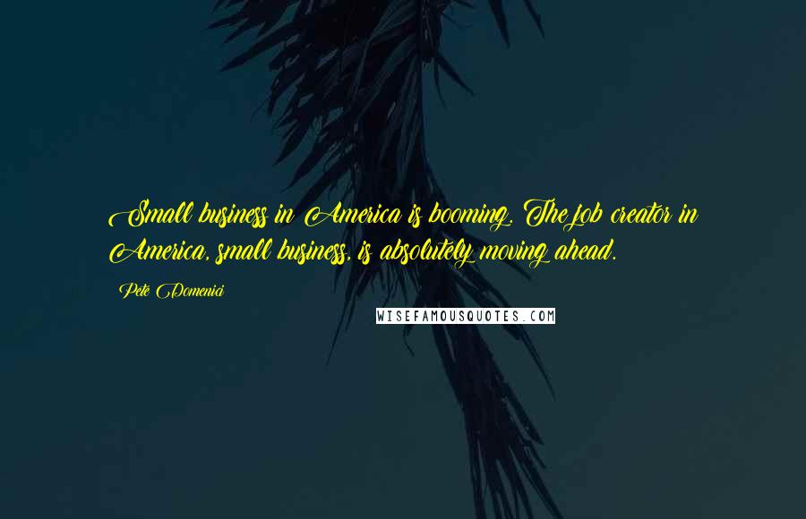 Pete Domenici Quotes: Small business in America is booming. The job creator in America, small business, is absolutely moving ahead.